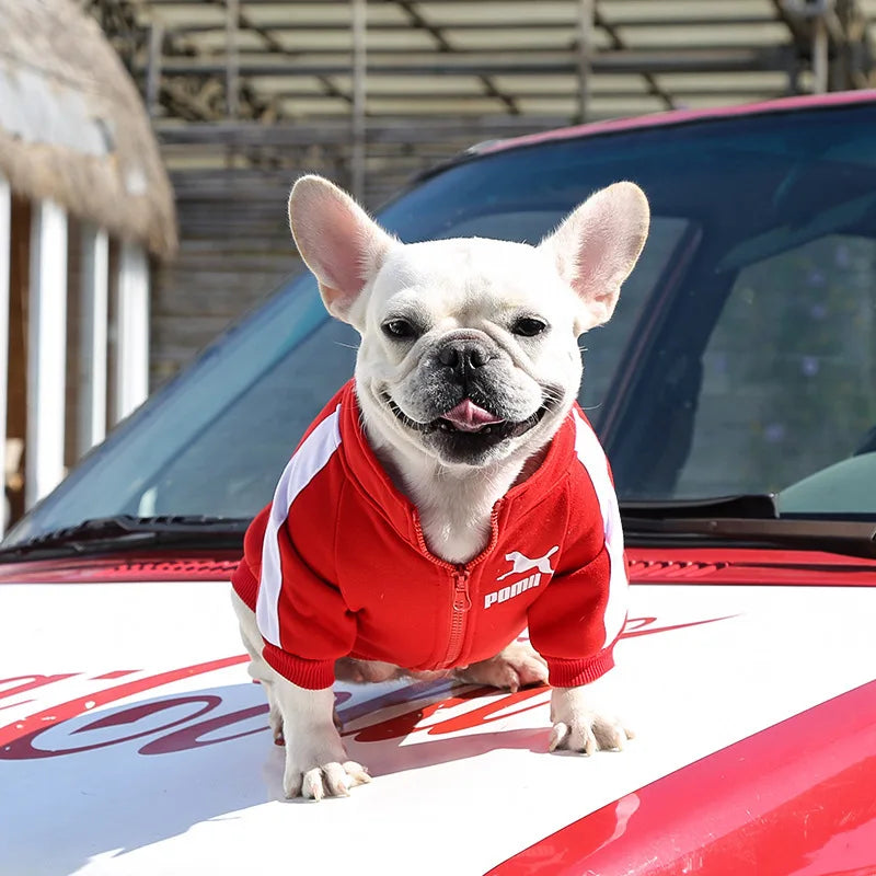 Baseball Dog Jacket Winter