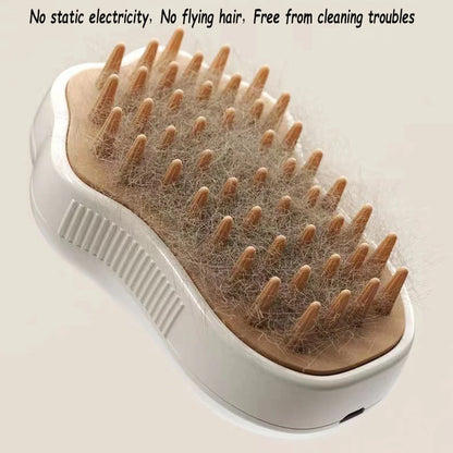 Electric Pet Brush