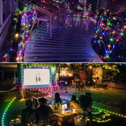 Fairy String Christmas Light With Bluetooth