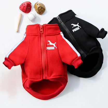 Baseball Dog Jacket Winter