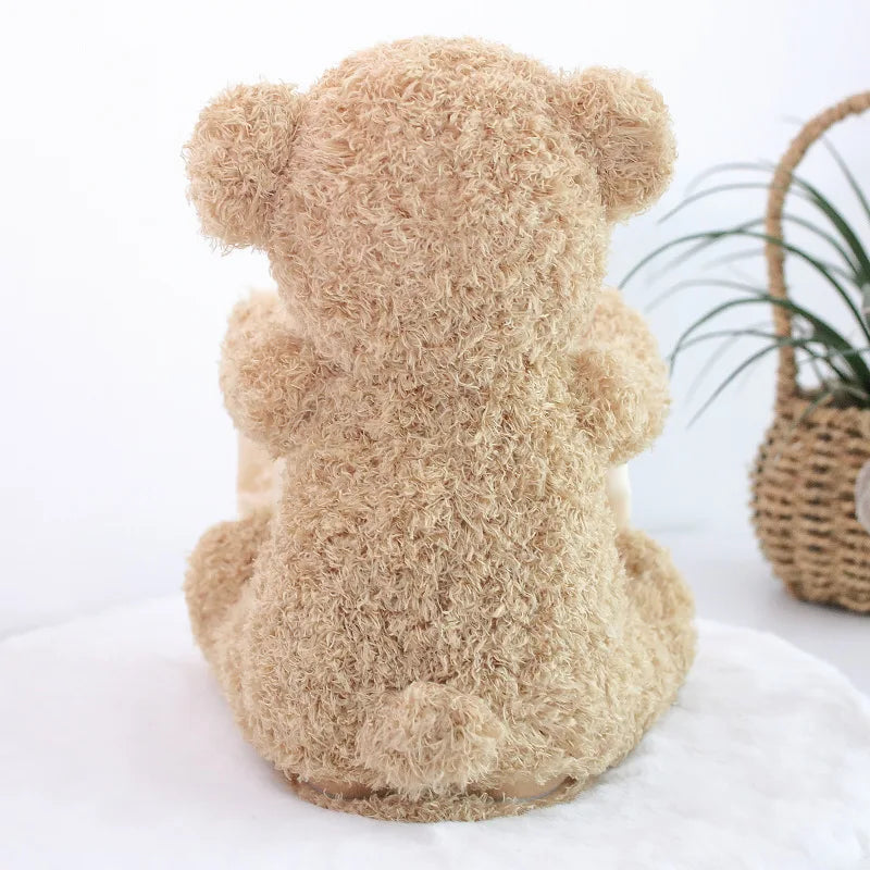 Teddy Bear Hide and Seek Toy