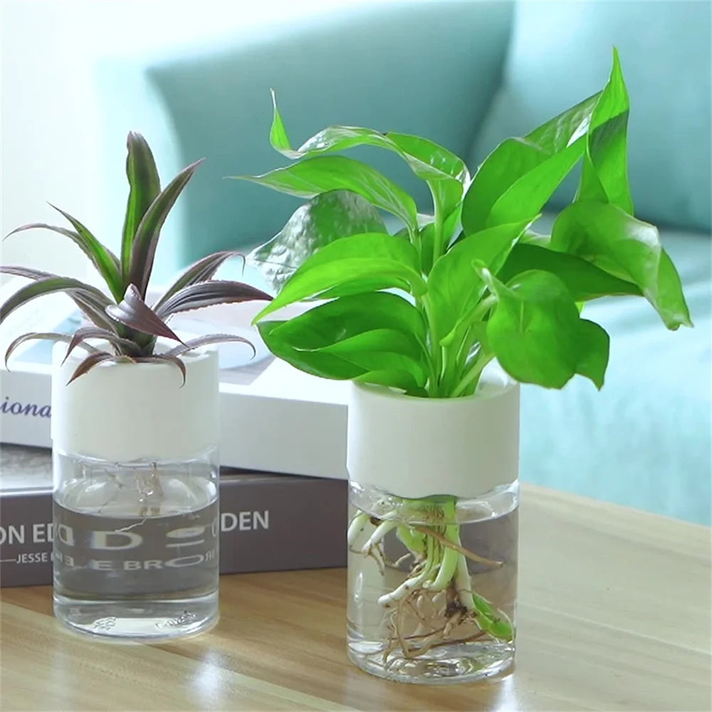 Mini Hydroponic Flower Pot Decoration