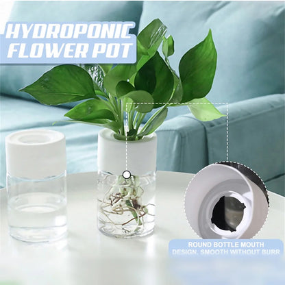 Mini Hydroponic Flower Pot Decoration