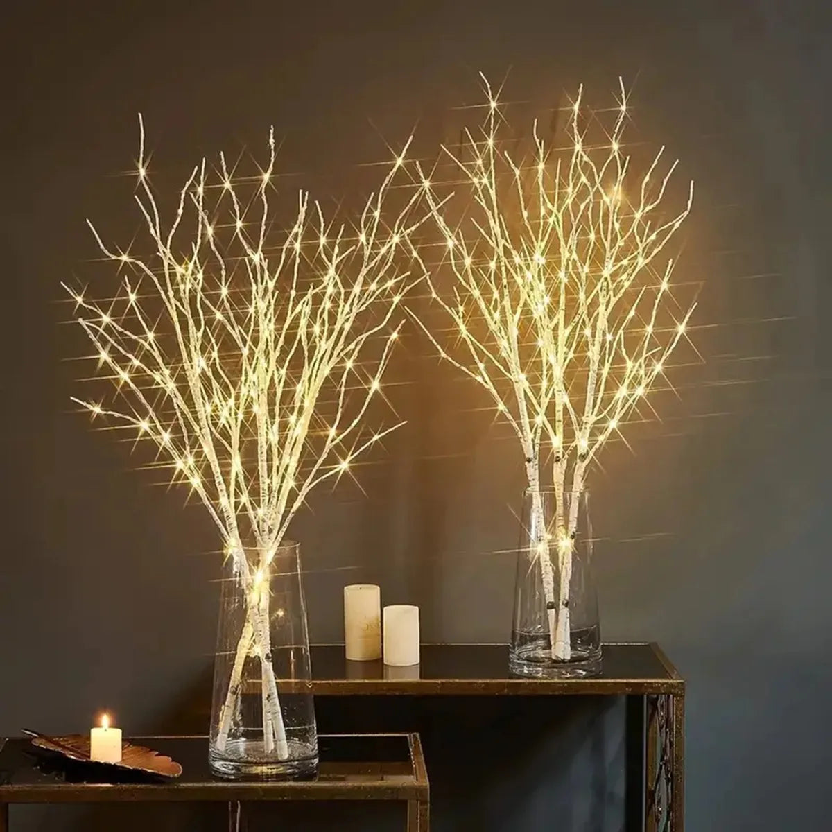 Birch Branch Light LED Christmas