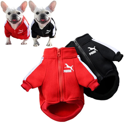 Baseball Dog Jacket Winter