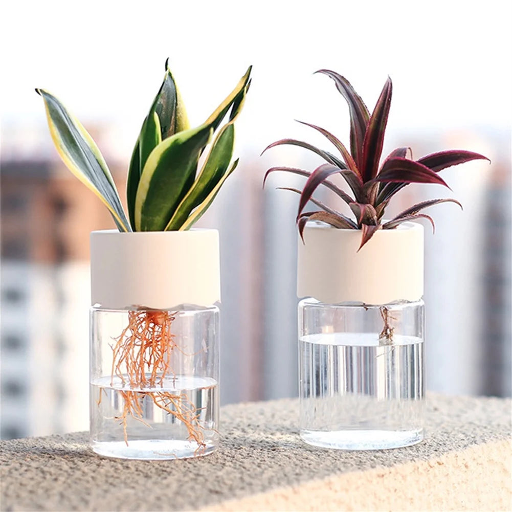 Mini Hydroponic Flower Pot Decoration